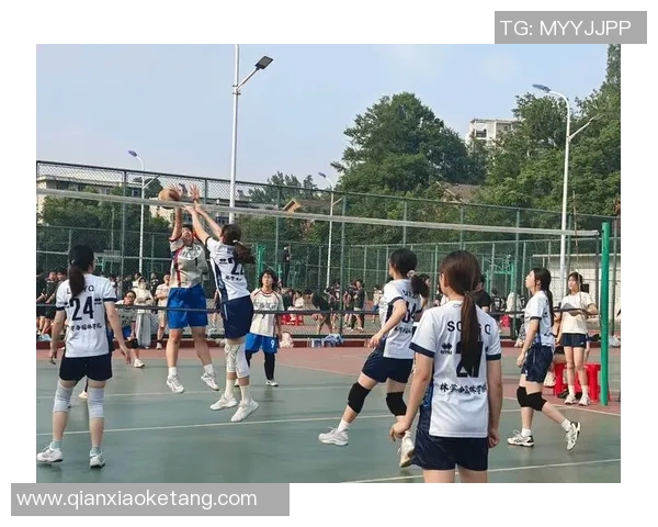 排球专题:聚焦武汉排球队的状态 排球专题:聚焦武汉排球队的状态